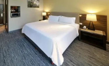 Holiday Inn Express & Suites Monterrey Valle