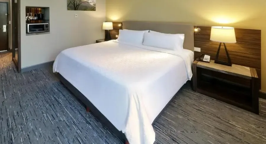 Holiday Inn Express & Suites Monterrey Valle